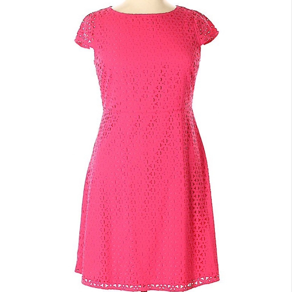 NWT J.Crew Pink Petite Dress